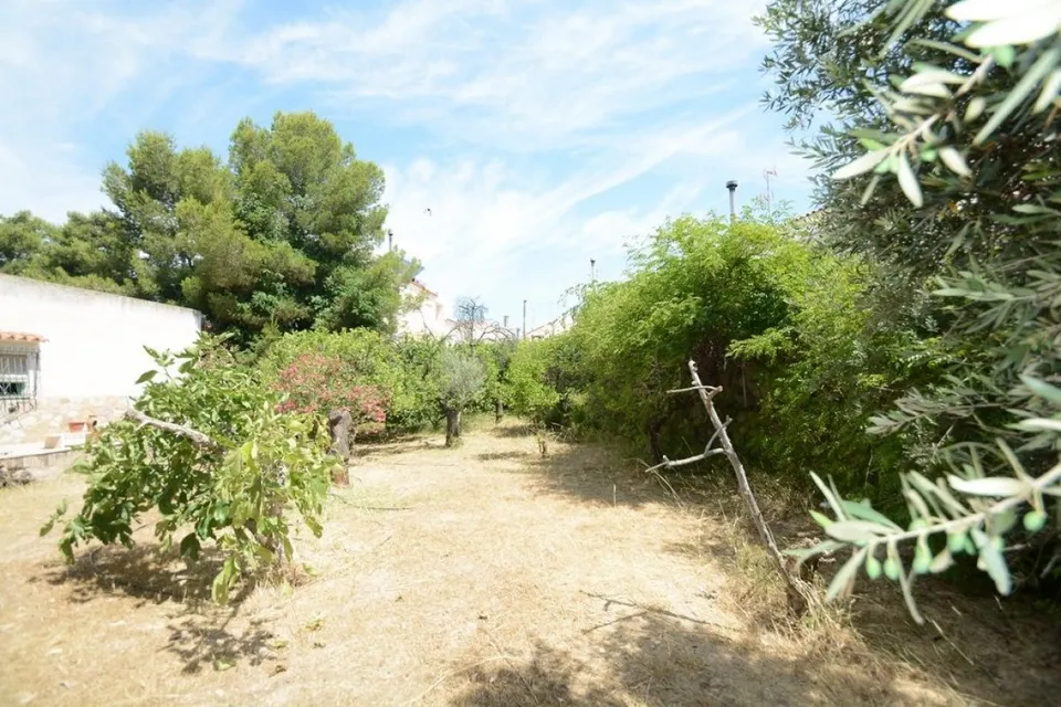 Solar Urbano de 940 m2. en la Murada (Orihuela), con casa de 95 m2. construidos para reformar