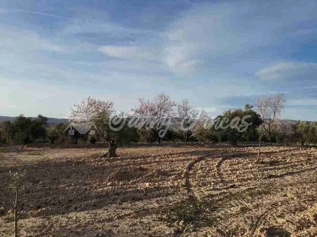 Suelo rústico en Venta en Biar Alicante - foto 4