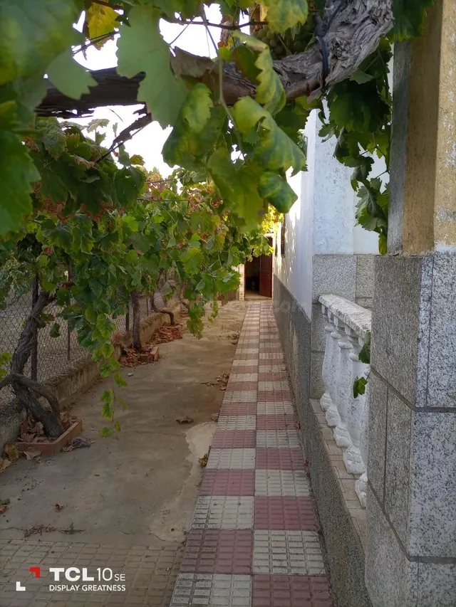 Casa de Campo en Cruce de las Herrerías, Carretera de Alcues - foto 2