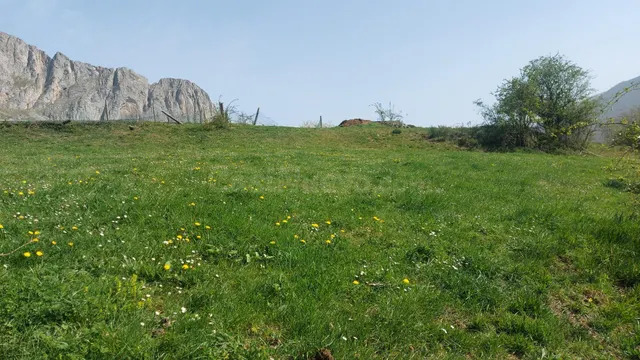 Venta terreno rustico en Caloca - foto 3