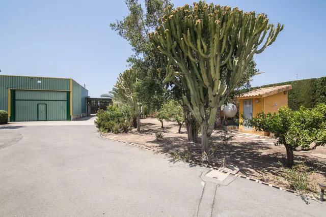 ESPECTARCULAR CAMPO CON 3 construcciones - foto 5