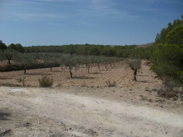 TERRENO EN SAX - foto 2
