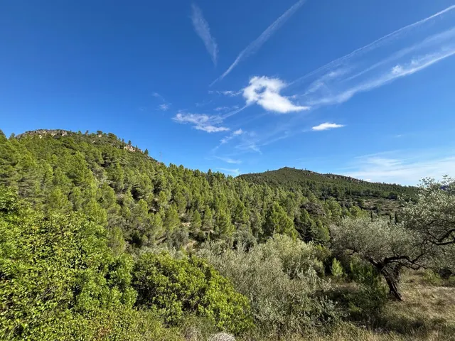 Espectacular finca rústica de 9,7 hectáreas con vivienda, piscina y vistas al Parque Natural dels Ports — 31