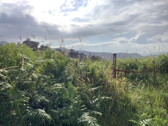 Terreno con proyecto de ejecución en camino Galeota, Beade — 9