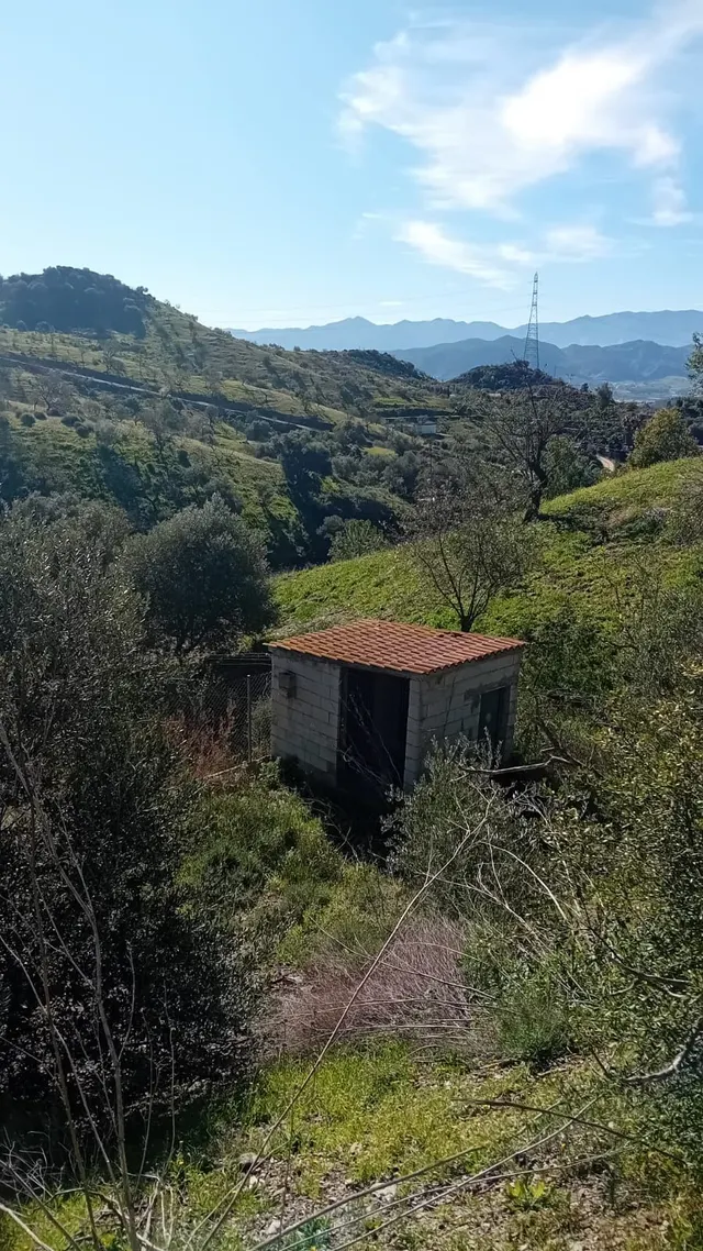 Finca rústica 4 habitaciones 115m² en venta - Marbella — 37