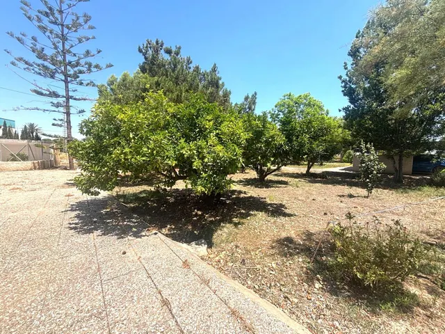 Exclusiva finca con encanto atemporal – una propiedad única cerca de Elche — 43