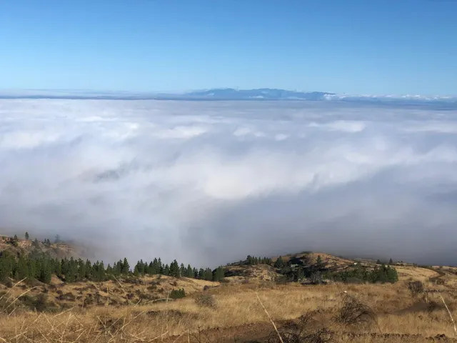 Terreno rústico con encanto y vistas espectaculares — Fasnia, Tenerife — 48