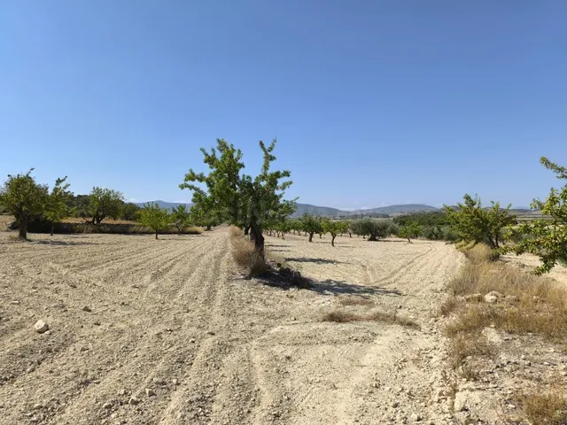 Parcela en venta - Comunidad valenciana - foto 4
