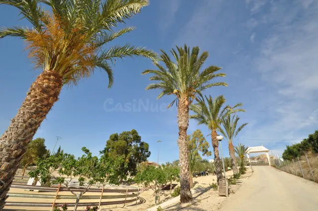 Local comercial 4 habitaciones 2442m² en venta - ABANILLA