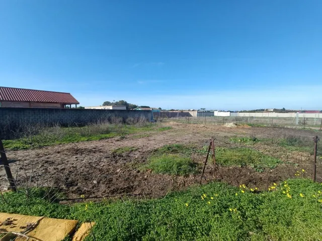 Parcela en zona La Negra