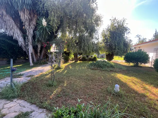 GRAN CHOLLO-FINCA URBANA DE 2600 METROS CON GRAN CHALET , DOS  VIVIENDAS,  TRASTERO Y PISCINA — 15