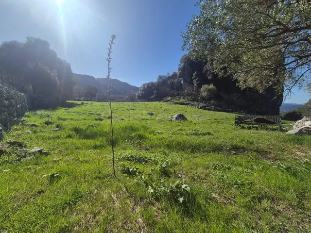 PARCELA EN VENTA EN BENAOCAZ - foto 4