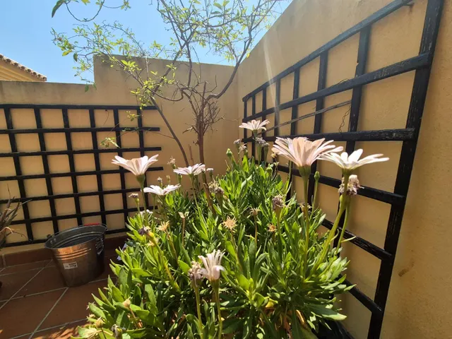 Riviera del Sol - Ático, 2 Dormitorios, Terraza, Piscina y Jardín — 41
