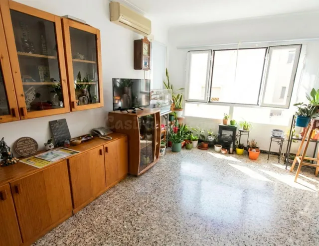 LUMINOSO Y ACOGEDOR PISO EN VENTA EN PALMA A ESCASOS METROS  - foto 2