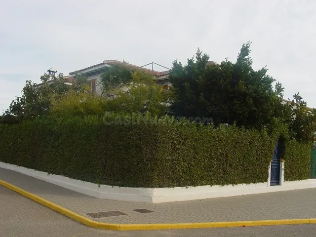 Dúplex 3 habitaciones 100m² en venta - Puerto Vera - foto 2