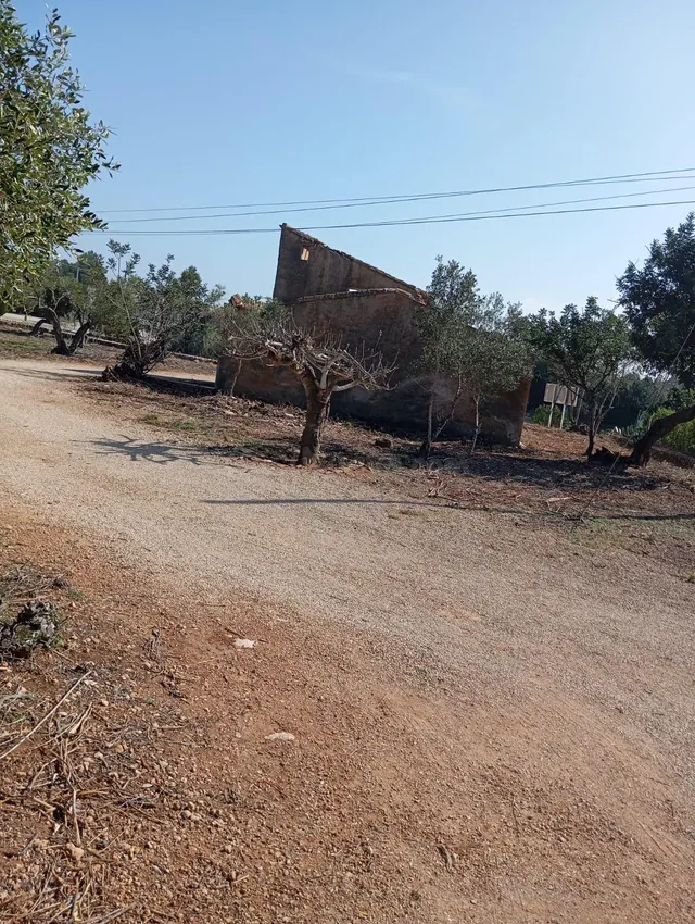 Oportunidad Única en L'Ampolla: Finca Rústica de 12,182 m2 - foto 3