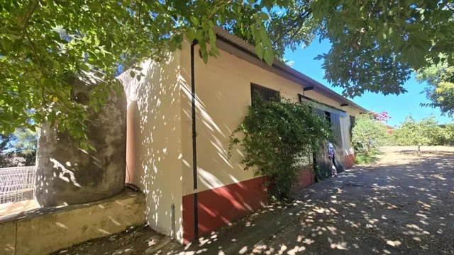 Magnífica casa de campo con piscina y vistas a Moguer, en finca de casi 15.000 m2 — 30