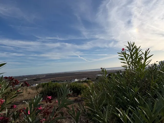 Vivienda adosada con piscina, licencia turística y solárium con vistas a El Palmar — 17