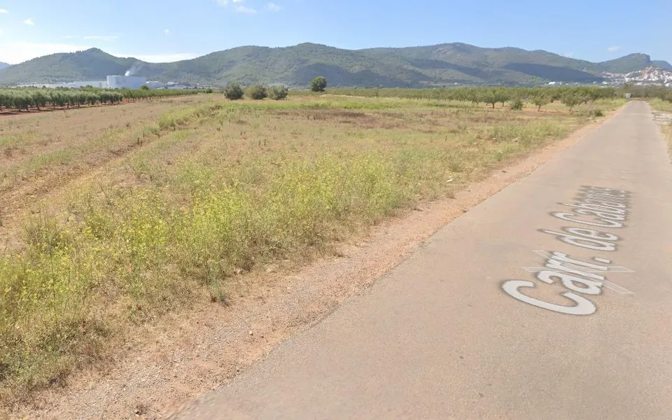FINCA SECANO LLANA A PIE DE CAMINO ASFALTADO SITUADA EN EL TERMINO DE VILLAFAMES