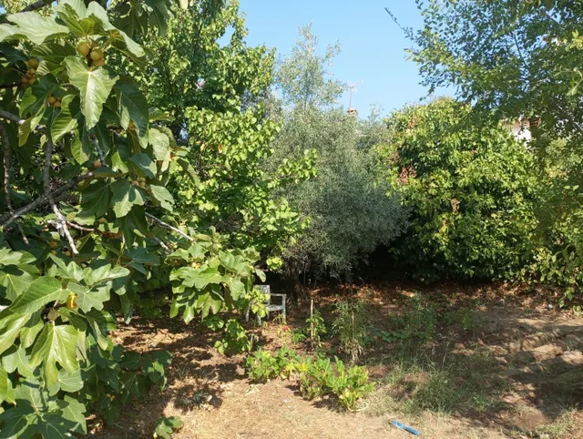 TERRENO URBANO MUY CENTRICO AL LADO DE LA PLAZA DE LAS ERAS  - foto 4