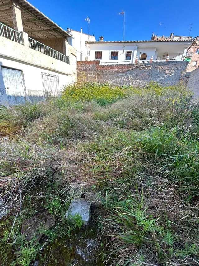 SOLAR CÉNTRICO EN ATARFE — 10
