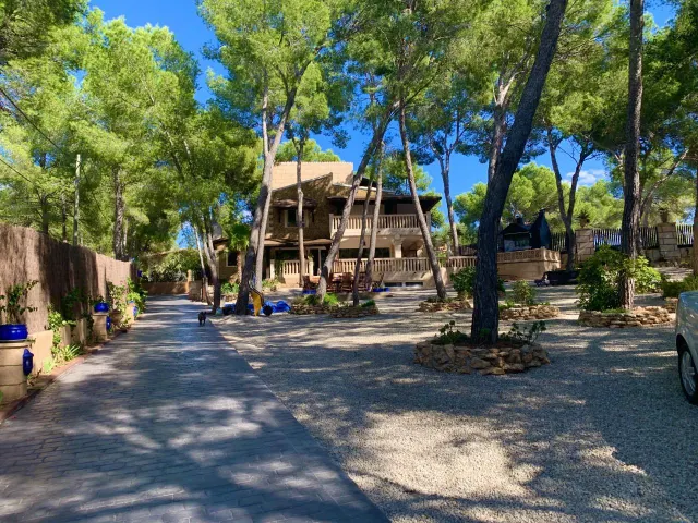 Villa de estilo mallorquín con amplio jardín de pinos en Cala Vinyes — 7