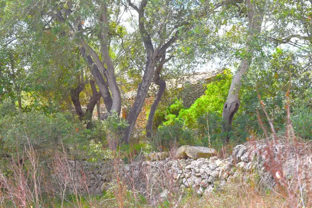 Finca rústica con posibilidad de vivienda en Llubi — 7