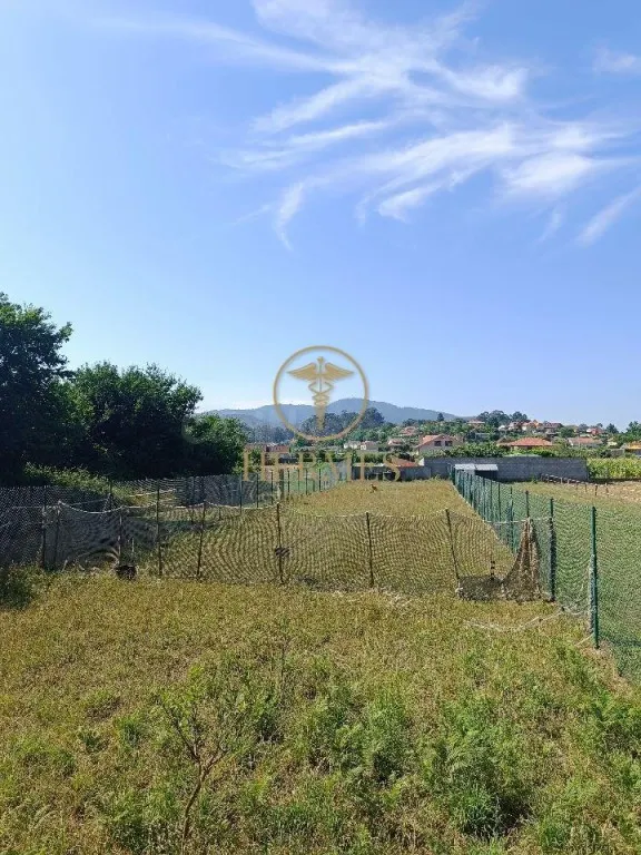 Se vende finca rustica a 1 km de Tui — 9