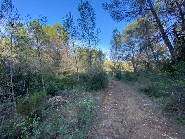 OPORTUNIDAD ENORME TERRENO EN VENTA POR 150.000€ — 6