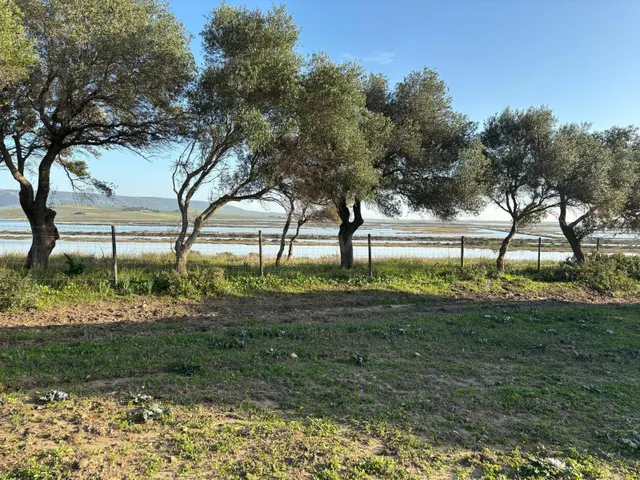 ESTUPENDA PARCELA CON BONITAS VISTAS - foto 2