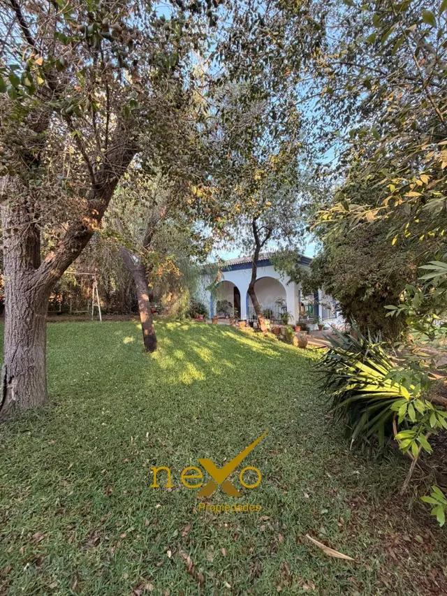GRAN CHALET LOS FRUTALES DEL ALCOR — 4