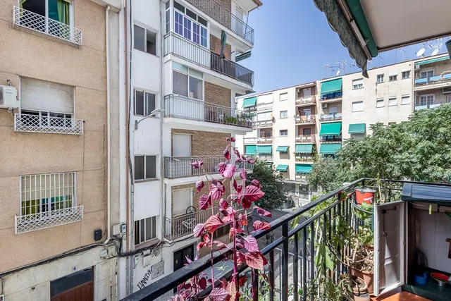 GRAN PISO JUNTO CAMPUS DE LA SALUD — 9