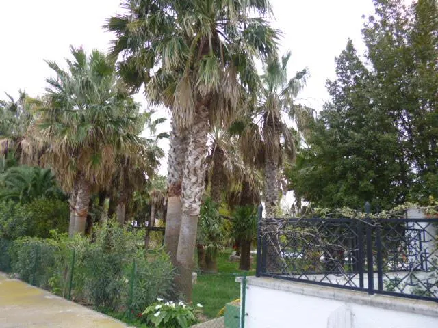 Chalet en zona Vinallop a 3 km. de Tortosa — 26