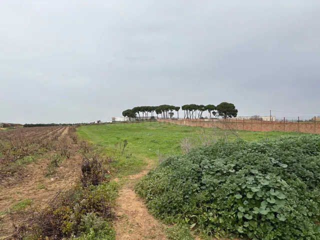 Solar en venta - Andalucia - foto 3