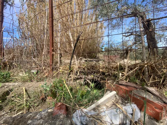 Cortijo muy cerca de pueblo de Tíjola — 11
