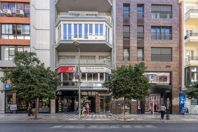 GRAN PISO EN CALLE RECOGIDAS — 38