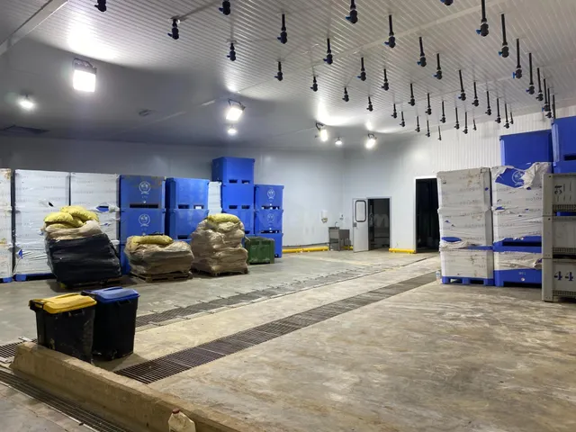 Nave con cámara frio en Venta en Albal, 1000 m. - foto 4