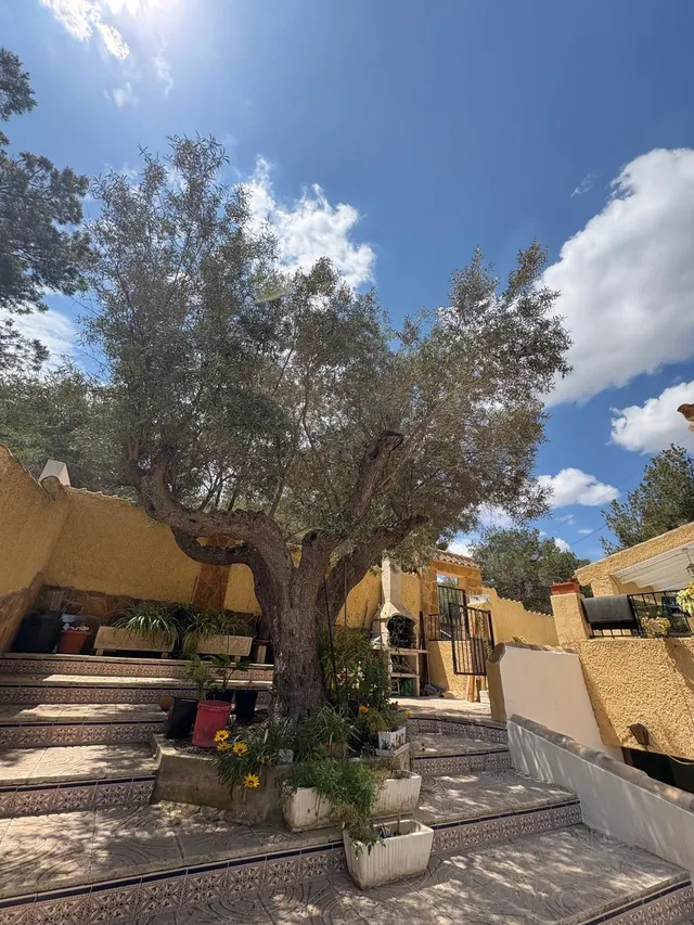 CHALET EN ORIHUELA COSTA CON GRAN PARCELA Y PISCINA PRIVADA — 47