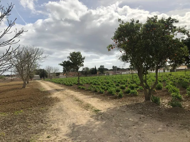 Nave industrial en venta - zona pago del humo — 9