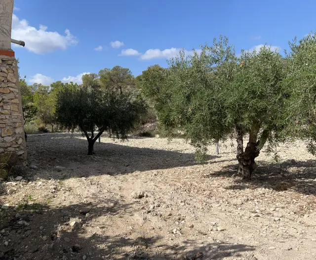 Casa Rural en Barinas, Abanilla: Tu Refugio Ideal — 15