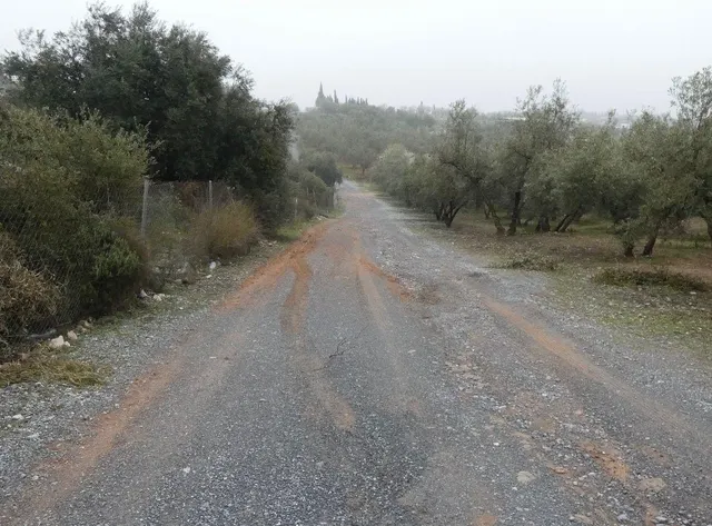 Finca rústica en Peligros – Ideal inversión o explotación agrícola — 25