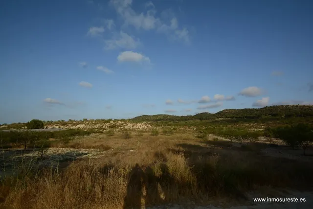 Terreno rústico de secano en la pedanía de Torremendo, Orihuela. 17.000 m2. de superficie. — 13