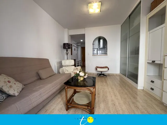 ESTUPENDO ESTUDIO PARA SUS EPOCAS ESTIVALES, IDONEO PARA PAR - foto 5