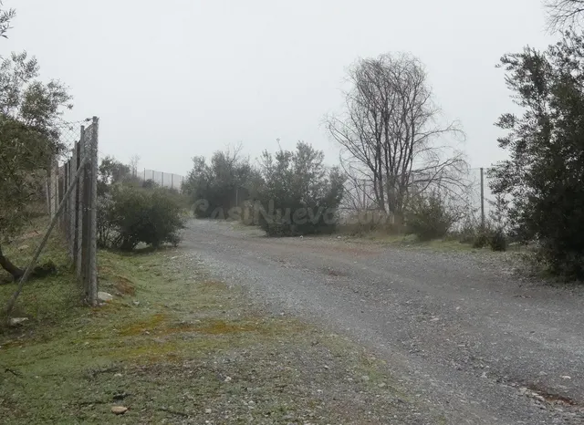 Finca rústica en Peligros – Ideal inversión o explotación agrícola — 4
