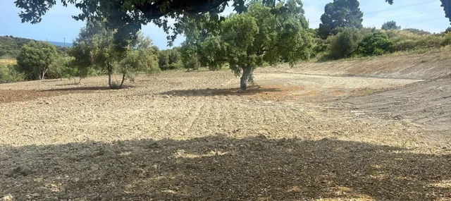 PARCELA PARA HACERTE LA CASA DE TUS SUEÑOS CON PROYECTO DE OBRA — 4
