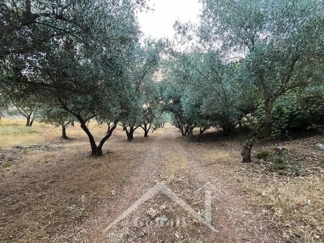Suelo rústico en Venta en Constantina Sevilla — 7
