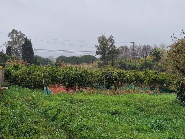 Parcela en venta - San Enrique De Guadiaro - foto 2