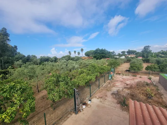 Finca rustica el pintado, Gibraleón — 30