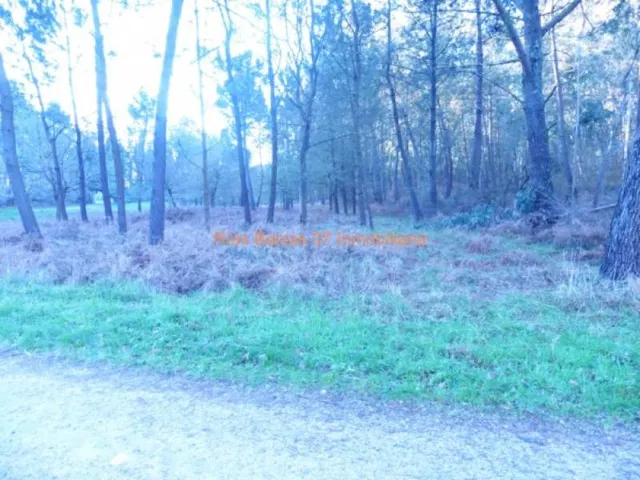 REF 2302 TERRENO RUSTICO 3100 m2 ALTO SAN COSME (MOS)