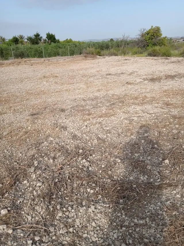 SE VENDE PARCELA RÚSTICA DE 2236M2 EN ALGUAZAS - foto 5